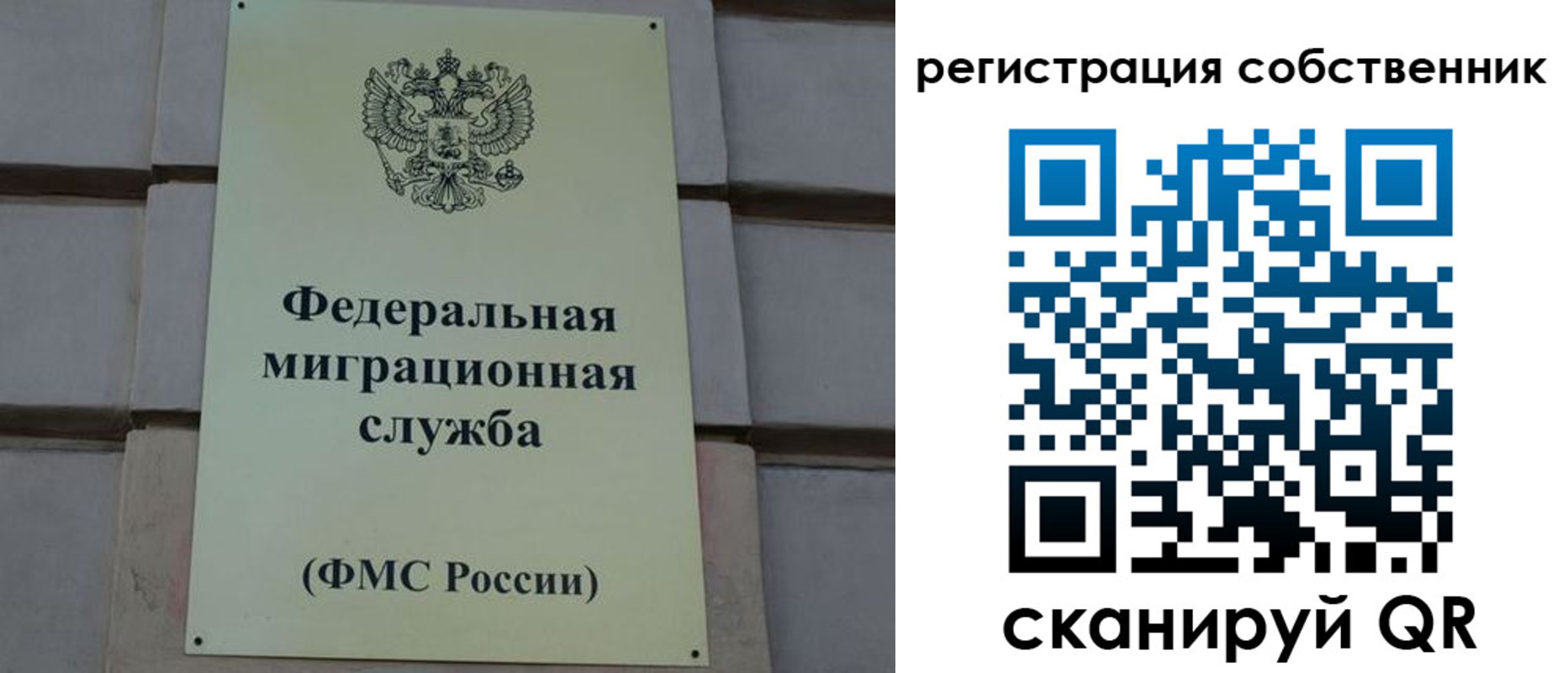 прописка гарантия в Брянской области